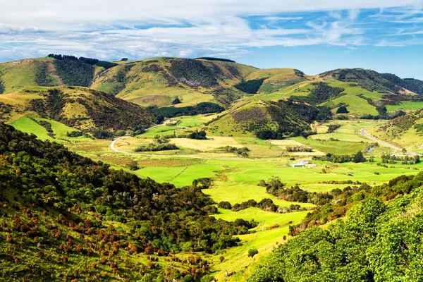 Hermosa Vista Tierras Cultivo Verano Isla Sur Nueva Zelanda —  Fotos de Stock