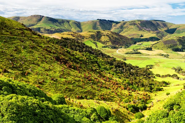 Hermosa Vista Tierras Cultivo Verano Isla Sur Nueva Zelanda —  Fotos de Stock