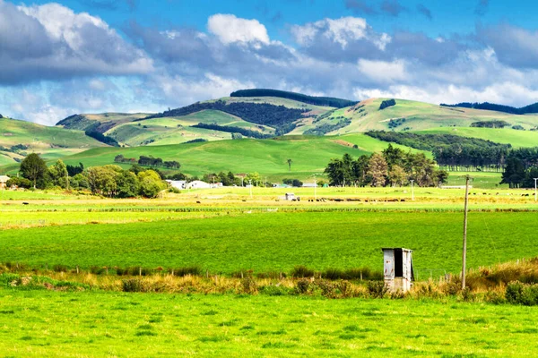 Hermosa Vista Tierras Cultivo Verano Isla Sur Nueva Zelanda —  Fotos de Stock