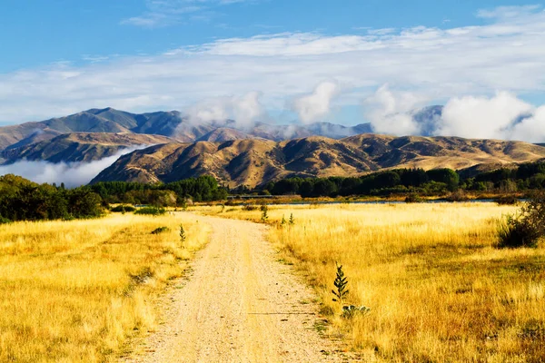 Vägen Genom Vackra Och Naturliga Landskap Vilda Orörda Nya Zeeland — Stockfoto