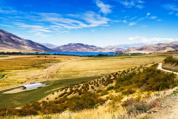 Hermosa Vista Tierras Cultivo Verano Isla Sur Nueva Zelanda —  Fotos de Stock