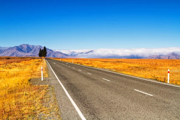 Camino Través Hermoso Natural Paisaje Salvaje Prístina Campiña Nueva Zelanda — Foto de Stock