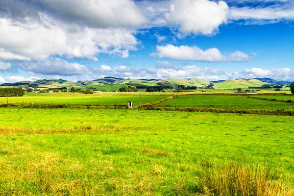 Piękny Widok Farmę Lecie Wyspie South Nowej Zelandii — Zdjęcie stockowe