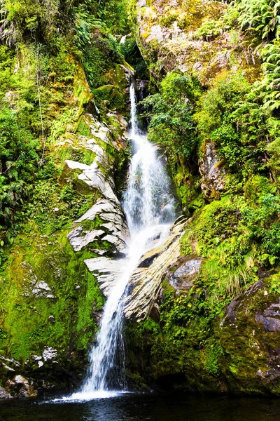 Cachoeira Nova Zelândia — Fotografia de Stock