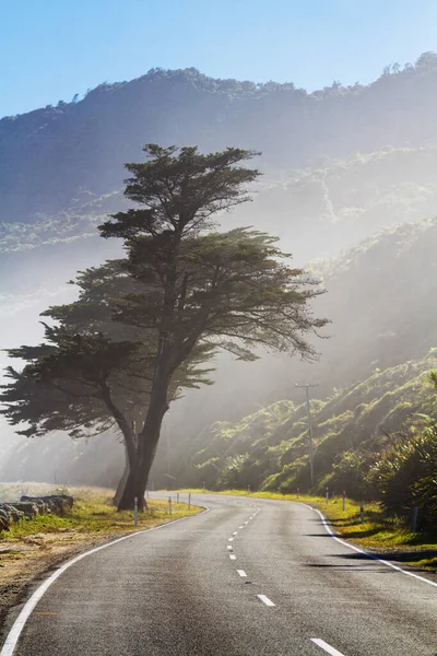New Zealand Coastal Highway: A scenic road winds along the western shore of New Zealand\'s South Island. State Highway 6