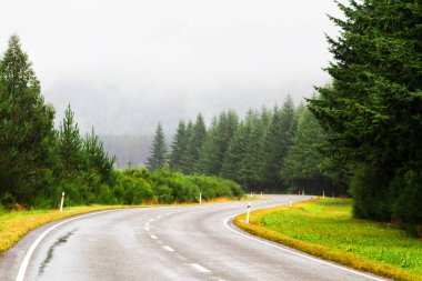 Vahşi, el değmemiş Yeni Zelanda kırsalının güzel ve doğal manzarasında yol.