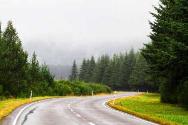 Vahşi, el değmemiş Yeni Zelanda kırsalının güzel ve doğal manzarasında yol.