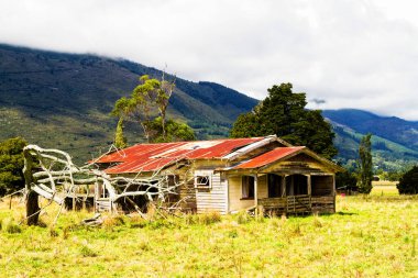 Güney Adası, Yeni Zelanda 'da bir çiftliğin ortasında yıkılmış ve unutulmuş bir kulübe..