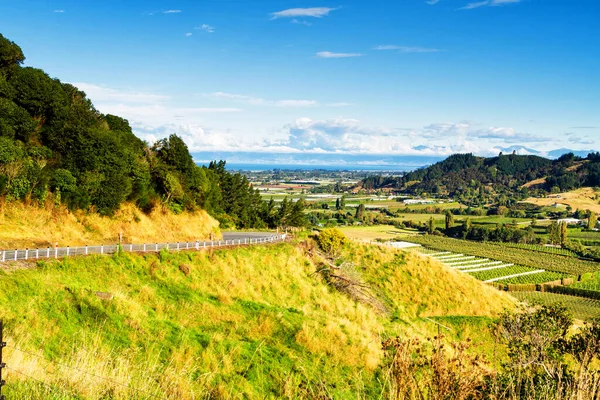 Piękny Widok Farmę Lecie Wyspie South Nowej Zelandii Widok Przełęczy — Zdjęcie stockowe