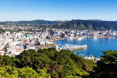 Wellington City limanı ve şehir merkezi. Binalar merkez ticaret bölgesinde..