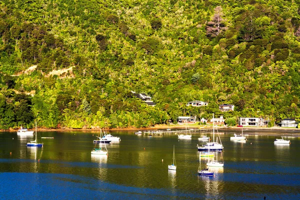Лодки Пришвартованы Queen Charlotte Sound Picton Marlborough Region South Island — стоковое фото