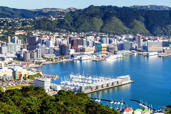 Wellington City Limanı Şehir Merkezi Binalar Merkez Ticaret Bölgesinde — Stok fotoğraf