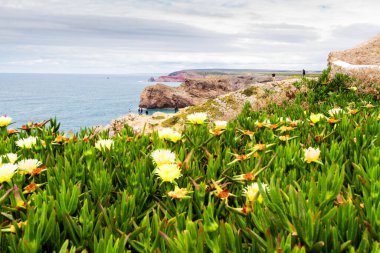 Cabo St. Vincent Burnu 'nun havadan görünüşü. Avrupa 'nın en güneybatı noktası, Sagres, Algarve, Portekiz.