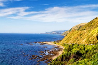 Yeni Zelanda Sahil Yolu: Yeni Zelanda 'nın Güney Adası' nın batı kıyısı boyunca manzaralı bir yol esiyor