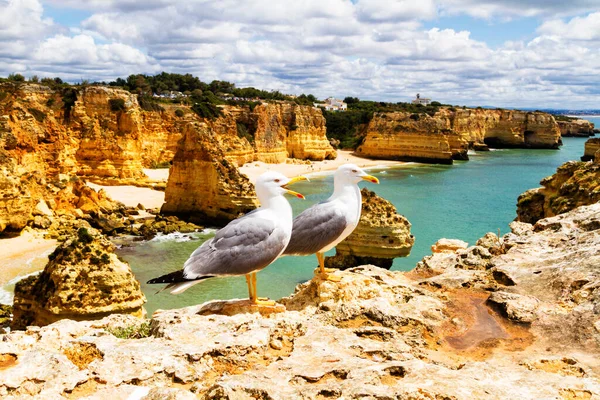 Θαλάσσια Ακτή Algarve Στην Πορτογαλία Διάσημοι Από Τις Παραλίες Και — Φωτογραφία Αρχείου