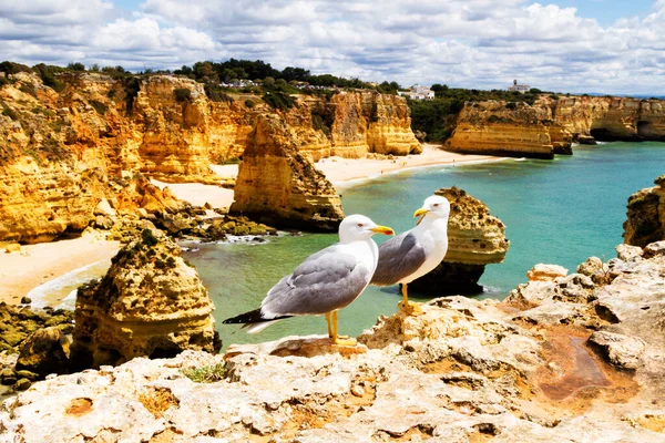 Θαλάσσια Ακτή Algarve Στην Πορτογαλία Διάσημοι Από Τις Παραλίες Και — Φωτογραφία Αρχείου