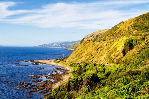 Yeni Zelanda Sahil Yolu: Yeni Zelanda 'nın Güney Adası' nın batı kıyısı boyunca manzaralı bir yol esiyor