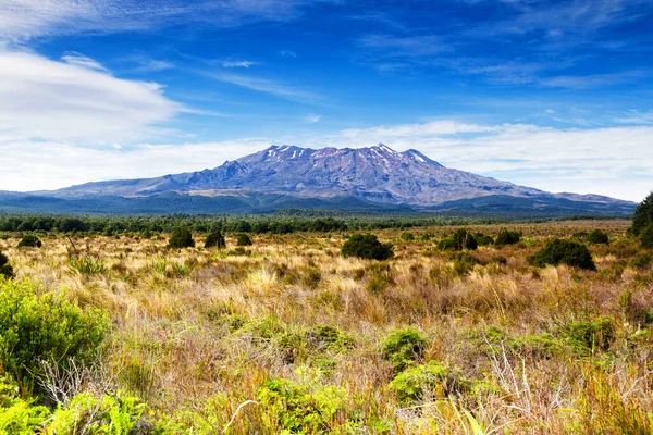 Road and Mount Ruapehu in Tongariro National Park, New Zealand