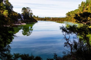 Wai-o-tapu, Jeotermal Harikalar Diyarı, Rotorua, Kuzey Adası, Yeni Zelanda 'da çamurlu, turkuaz sıcak su, havuzlar, buhar ve mağaralar.