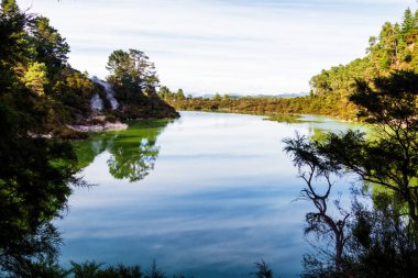 Wai-o-tapu, Jeotermal Harikalar Diyarı, Rotorua, Kuzey Adası, Yeni Zelanda 'da çamurlu, turkuaz sıcak su, havuzlar, buhar ve mağaralar.