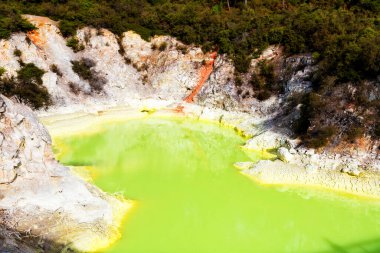Wai-o-tapu, Jeotermal Harikalar Diyarı, Rotorua, Kuzey Adası, Yeni Zelanda 'da çamurlu, turkuaz sıcak su, havuzlar, buhar ve mağaralar.