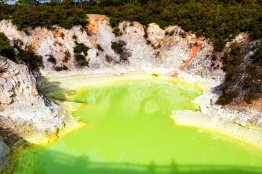 Wai-o-tapu, Jeotermal Harikalar Diyarı, Rotorua, Kuzey Adası, Yeni Zelanda 'da çamurlu, turkuaz sıcak su, havuzlar, buhar ve mağaralar.