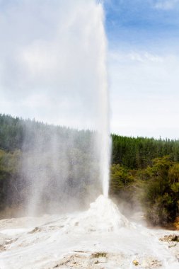 Leydi Knox gayzer bir sabun tozuyla harekete geçiyor. Rotorua bölgesi, Yeni Zelanda