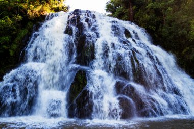 Yeni Zelanda 'da şelale