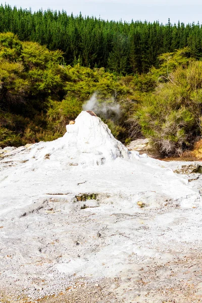 Lady Knox Geyser Activada Por Sabão Rotorua Nova Zelândia — Fotografia de Stock