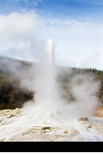 Lady Knox Geyser Activada Por Sabão Rotorua Nova Zelândia — Fotografia de Stock