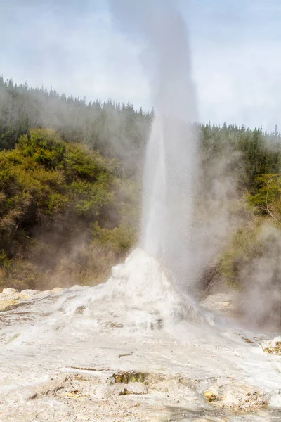 Lady Knox Geiser Wordt Geactiveerd Door Een Zeeppoeder Rotorua Nieuw — Stockfoto