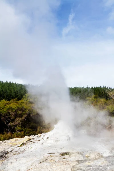 Lady Knox Geysir Wird Durch Ein Seifenpulver Aktiviert Rotorua Gebiet — Stockfoto