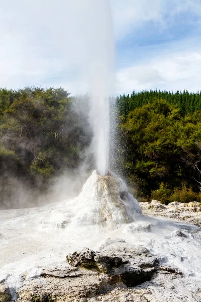 诺克斯夫人间歇泉是由肥皂粉末激活的 新西兰Rotorua地区 — 图库照片
