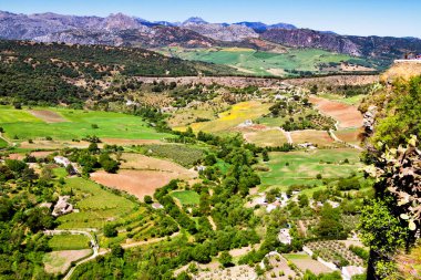 İspanya 'nın Endülüs kentinin Ronda kenti yakınlarındaki meyve bahçeleri, üzüm bağları ve tarlalarıyla yeni ve panoramik bir manzara. Ronda beyaz şehirlerden (pueblos blancos) ve popüler turizm merkezlerinden biridir..