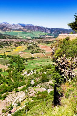 İspanya 'nın Endülüs kentinin Ronda kenti yakınlarındaki meyve bahçeleri, üzüm bağları ve tarlalarıyla yeni ve panoramik bir manzara. Ronda beyaz şehirlerden (pueblos blancos) ve popüler turizm merkezlerinden biridir..