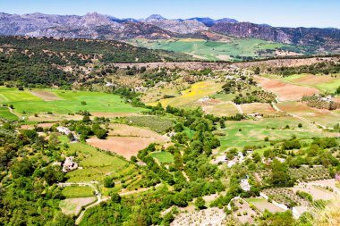 İspanya 'nın Endülüs kentinin Ronda kenti yakınlarındaki meyve bahçeleri, üzüm bağları ve tarlalarıyla yeni ve panoramik bir manzara. Ronda beyaz şehirlerden (pueblos blancos) ve popüler turizm merkezlerinden biridir..