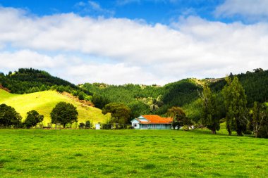 Kuzey Adası, Coromandel Yarımadası, Yeni Zelanda 'daki tipik ahşap ev.