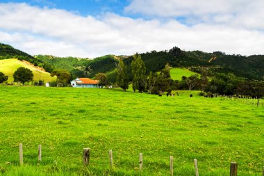 Kuzey Adası, Coromandel Yarımadası, Yeni Zelanda 'daki tipik ahşap ev.