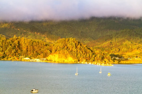 Vista Baía Península Coromandel Uma Noite Ensolarada Ilha Norte Nova — Fotografia de Stock