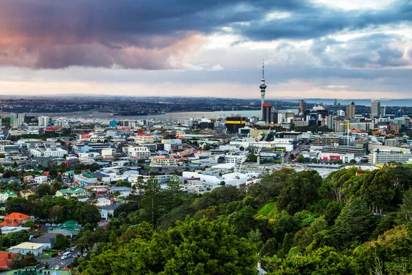 오클랜드 뉴질랜드에서 인구가 — 스톡 사진