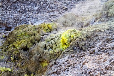 Wai-o-tapu, Jeotermal Harikalar Diyarı, Rotorua, Kuzey Adası, Yeni Zelanda 'da çamurlu, turkuaz sıcak su, havuzlar, buhar ve mağaralar.