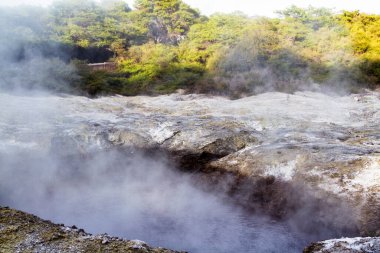 Wai-o-tapu, Jeotermal Harikalar Diyarı, Rotorua, Kuzey Adası, Yeni Zelanda 'da çamurlu, turkuaz sıcak su, havuzlar, buhar ve mağaralar.