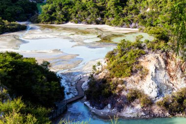 Wai-o-tapu, Jeotermal Harikalar Diyarı, Rotorua, Kuzey Adası, Yeni Zelanda 'da çamurlu, turkuaz sıcak su, havuzlar, buhar ve mağaralar.