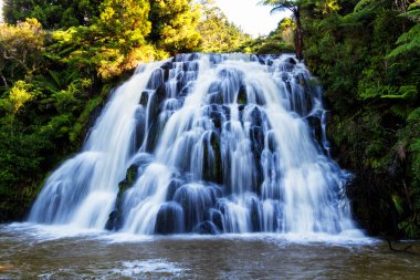 Yeni Zelanda 'da şelale