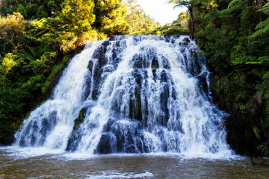 Yeni Zelanda 'da şelale