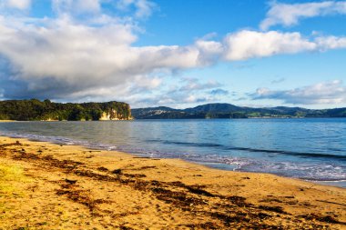 Yeni Zelanda 'nın kuzey adasının doğu kıyısı manzaralı.