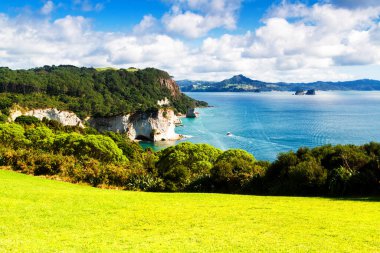 Yeni Zelanda 'nın kuzey adasında, Coromandel Yarımadası' nda sakin mavi bir gökyüzünün altında yuvarlanan yeşil tarlalar. Çayırların üzerinde renkli bir manzara.
