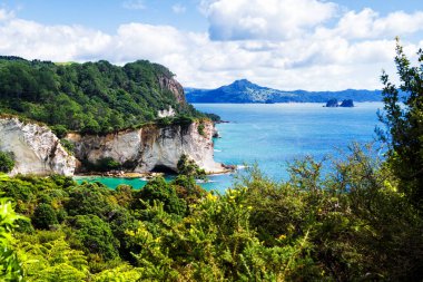 Yeni Zelanda 'nın kuzey adasında, Coromandel Yarımadası' nda sakin mavi bir gökyüzünün altında yuvarlanan yeşil tarlalar. Çayırların üzerinde renkli bir manzara.
