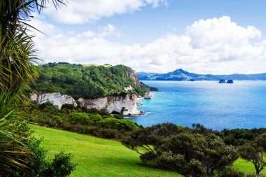 Yeni Zelanda 'nın kuzey adasında, Coromandel Yarımadası' nda sakin mavi bir gökyüzünün altında yuvarlanan yeşil tarlalar. Çayırların üzerinde renkli bir manzara.