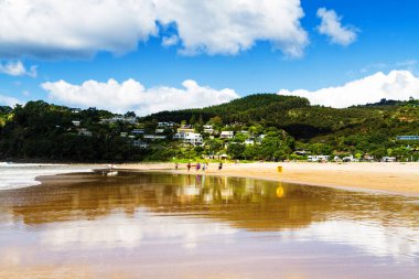 WhitiANGA, NEW ZEALAND - 28 Mart 2017: Yeni Zelanda 'nın Kuzey Adası' ndaki Coromandel Yarımadası 'ndaki pitoresk bir körfezin havadan görünüşü. Altında kaplıcaların bulunduğu sıcak su plajı.